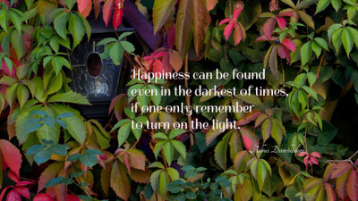 

Akhuratha aquote-quotes-time-light-dark Wall Poster Paper Print(12 inch X 18 inch, Rolled)