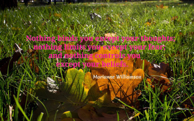 

Akhuratha aquote-quotes-thought-belief-fear Wall Poster Paper Print(12 inch X 18 inch, Rolled)