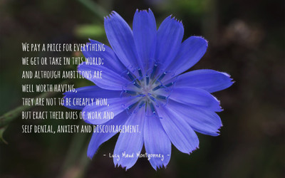 

Akhuratha aquote-quotes-work-price-win Wall Poster Paper Print(12 inch X 18 inch, Rolled)