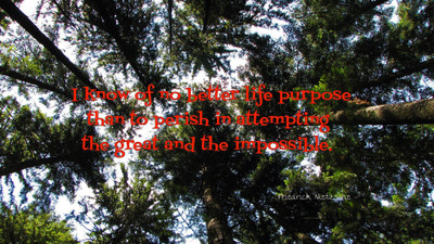 

Akhuratha aquote-quotes-greatness-purpose Wall Poster Paper Print(12 inch X 18 inch, Rolled)