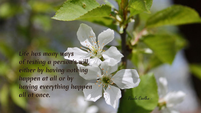 

Akhuratha aquote-quotes-will Wall Poster Paper Print(12 inch X 18 inch, Rolled)