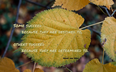 

Akhuratha a-quote-quotes-success Wall Poster Paper Print(12 inch X 18 inch, Rolled)