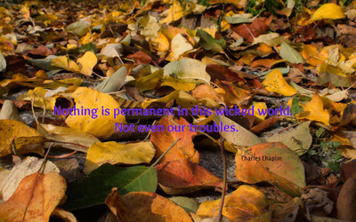 

Akhuratha aquote-quotes-permanent-trouble Wall Poster Paper Print(12 inch X 18 inch, Rolled)