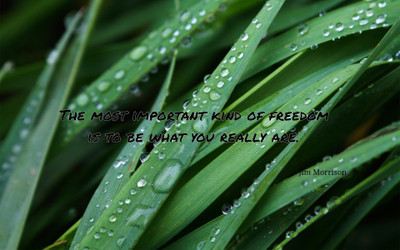 

Akhuratha aquote-quotes-freedom-individual Wall Poster Paper Print(12 inch X 18 inch, Rolled)