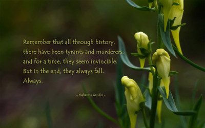 

Akhuratha aquote-quotes-murder-tyrant Wall Poster Paper Print(12 inch X 18 inch, Rolled)