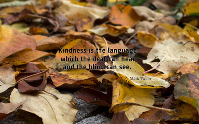 

Akhuratha aquote-quotes-kindness Wall Poster Paper Print(12 inch X 18 inch, Rolled)