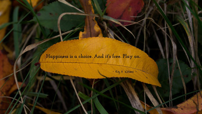 

Akhuratha a-quote-quotes-happiness Wall Poster Paper Print(12 inch X 18 inch, Rolled)