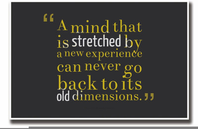 

Akhuratha Wall Poster -oliver-wendell-holmes-new-experience-quote-par-bmunbfnvth Paper Print(18 inch X 12 inch, Rolled)