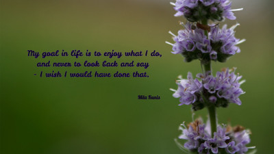 

Akhuratha a-quote-quotes-regret-enjoy Wall Poster Paper Print(12 inch X 18 inch, Rolled)