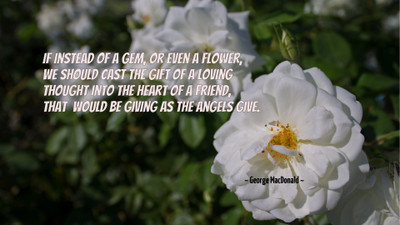 

Akhuratha aquote-quotes-angel-gift Wall Poster Paper Print(12 inch X 18 inch, Rolled)