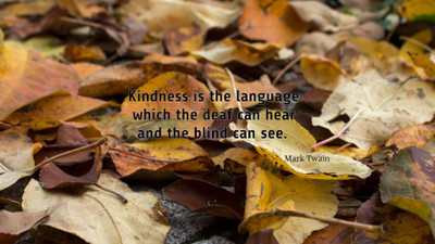 

Akhuratha a-quote-quotes-kindness Wall Poster Paper Print(12 inch X 18 inch, Rolled)