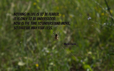 

Akhuratha aquote-quotes-fear-understanding Wall Poster Paper Print(12 inch X 18 inch, Rolled)