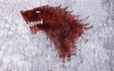 

Akhuratha Wall Poster-Game-of-Thrones-House-Stark Paper Print(12 inch X 18 inch, Rolled)