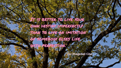 

Akhuratha a-quote-quotes-destiny Wall Poster Paper Print(12 inch X 18 inch, Rolled)