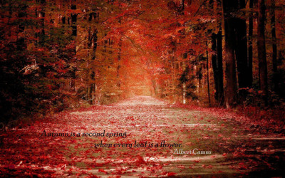 

Akhuratha as-quote-autumn-ofeop Wall Poster Paper Print(12 inch X 18 inch, Rolled)