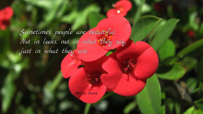 

Akhuratha a-quote-quotes-beauty-look Wall Poster Paper Print(12 inch X 18 inch, Rolled)