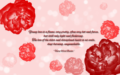 

Akhuratha aquote-quotes-flame-heart Wall Poster Paper Print(12 inch X 18 inch, Rolled)