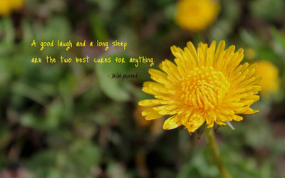 

Akhuratha aquote-quotes-laugh-sleep-cure Wall Poster Paper Print(12 inch X 18 inch, Rolled)