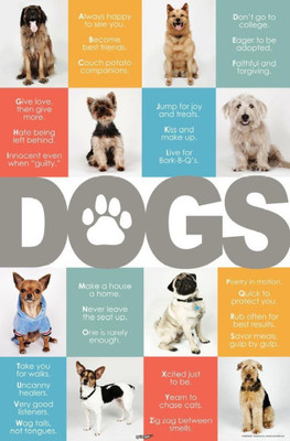

Akhuratha Wall Poster -dogs-best-friends-sv Paper Print(18 inch X 12 inch, Rolled)