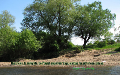 

Akhuratha aquote-quotes-day-wish-trick Wall Poster Paper Print(12 inch X 18 inch, Rolled)