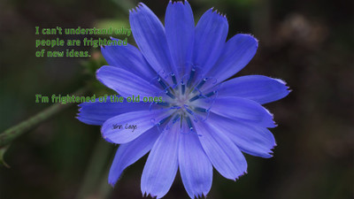 

Akhuratha a-quote-quotes-fear-idea Wall Poster Paper Print(12 inch X 18 inch, Rolled)