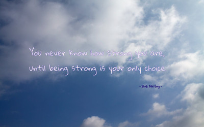 

Akhuratha aquote-quotes-strength-choice Wall Poster Paper Print(12 inch X 18 inch, Rolled)