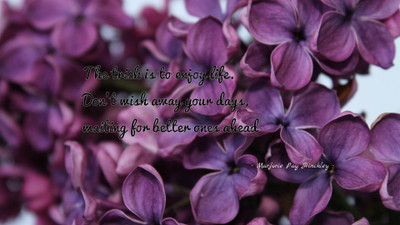 

Akhuratha aquote-quotes-day-wish Wall Poster Paper Print(12 inch X 18 inch, Rolled)