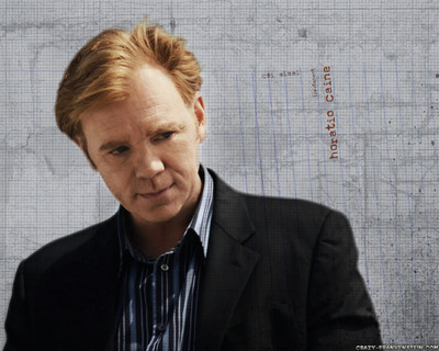 

Aabhaas TV Show CSI: Miami HD Wall Poster Paper Print(12 inch X 18 inch, Rolled)