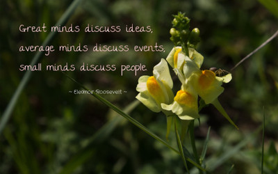 

Akhuratha aquote-quotes-people-mind-idea-event Wall Poster Paper Print(12 inch X 18 inch, Rolled)