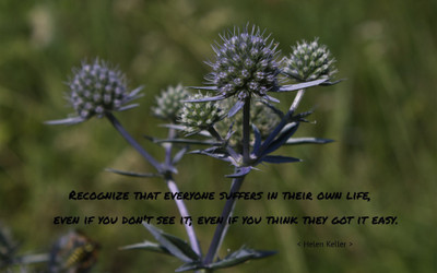 

Akhuratha aquote-quotes-suffering Wall Poster Paper Print(12 inch X 18 inch, Rolled)
