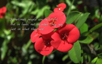 

Akhuratha aquote-quotes-beauty-look Wall Poster Paper Print(12 inch X 18 inch, Rolled)