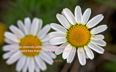 

Akhuratha aquote-quotes-control-power Wall Poster Paper Print(12 inch X 18 inch, Rolled)