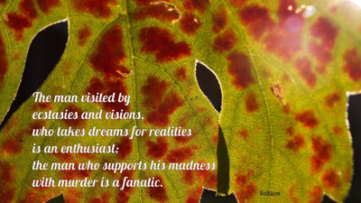 

Akhuratha a-quote-quotes-enthusiast-fanatic Wall Poster Paper Print(12 inch X 18 inch, Rolled)