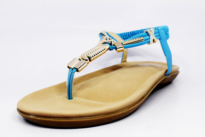 

Vstario Women Blue Flats