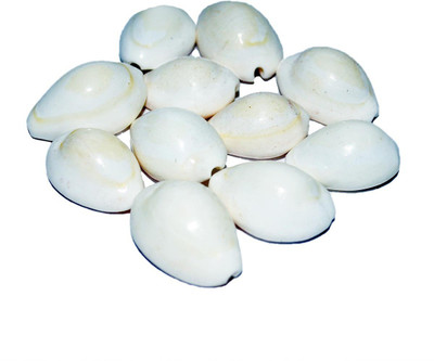 

CraftEra Decorative Showpiece - 5 cm(Stoneware, White)