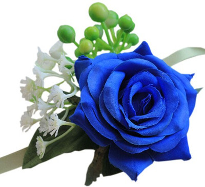 

Bio Kisan Midnight Rose Seed(10 per packet)