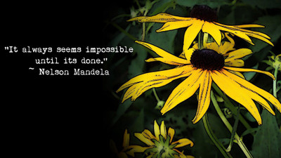 

Akhuratha anelson-mandela-impossible Wall Poster Paper Print(12 inch X 18 inch, Rolled)