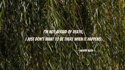 

Akhuratha a-quote-quotes-death Wall Poster Paper Print(12 inch X 18 inch, Rolled)
