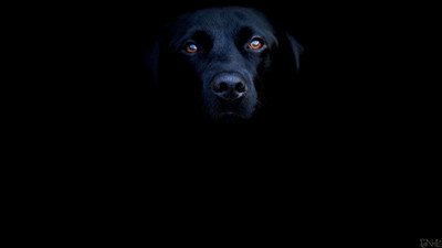 

Akhuratha ablack--backgrounds-desktop-s-dark Wall Poster Paper Print(12 inch X 18 inch, Rolled)