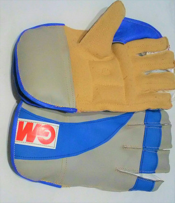 

GM DFGT54G7 Wicket Keeping Gloves (Men, Blue)
