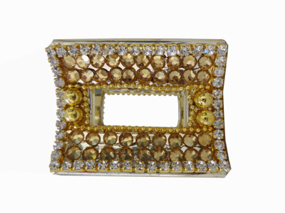 

ALIVE HAIR CLUTCHER WITH GOLD FINISH Hair Clip(Gold)