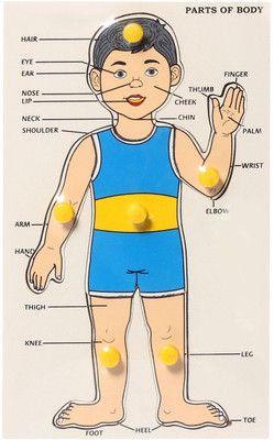 

SHRIBOSSJI Wooden Puzzle for Kids - Parts Of Body(Multicolor)