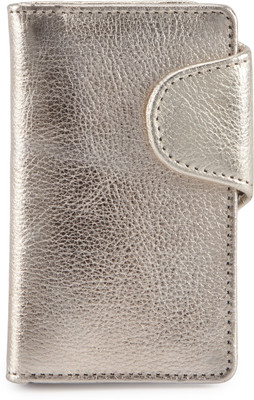 

Calfnero 629 Pouch(Silver)