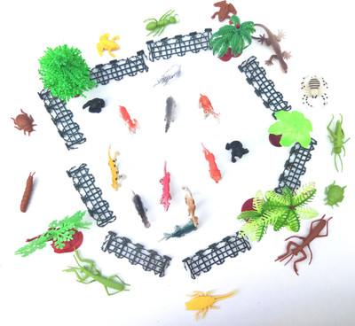 

Aparnas real looking small bugs and wild animals 12pieces each for school exhibitions rojects and models for children and kids