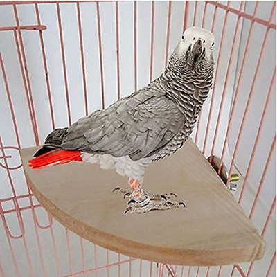 

Anokhe Collections 7 Inches / 17 cm Natural Wood Corner Platform cum Perch cum Stand Bird Toy Ideal for Cockatoo, Amazon, Macaw, African grey, Sun Conure, Pionus, Quaker Parrot, Cockatiel, Lovebird (Light Weight) Wooden Training Aid, Stick For Bird