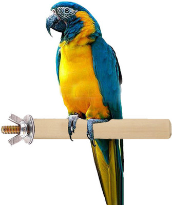 

Anokhe Collections 6 Inches / 15 cm Natural Wood Perch / Stand / Toy Ideal for Lovebird, Budgerigar, Budgeri (Light Weight) Wooden Stick, Training Aid For Bird