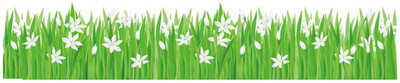

SYGA  PVC VINYL Sticker(Pack of 1, Multicolor