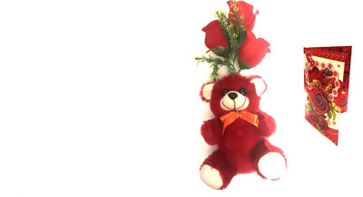 

RV PROSHOP Teddy Bear for loved ones with Musical Card - 22 cm(Multicolor)