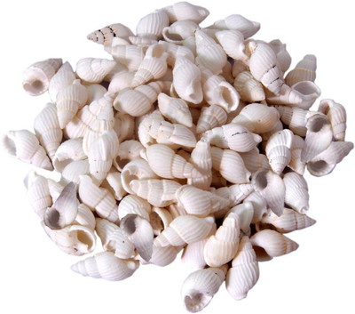 

Jainsons Pet Products River Rock Unplanted Substrate(White)