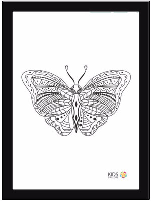 

Butterfly Paper Print(11.69 inch X 8.27 inch, Framed)